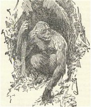 X. The Battle for Teeka ~ J. Allen St. John for Jungle Tales of Tarzan