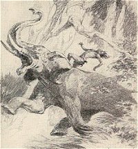 As Tantor surged forward a low-hanging limb struck the ape-man