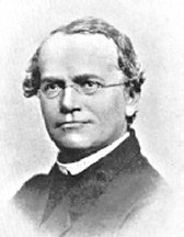 Gregor Mendel