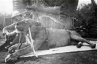 J.H. Patterson with Man Eater Lion