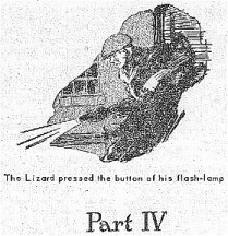 The lizard pressed the button of his flash-lamp (69)