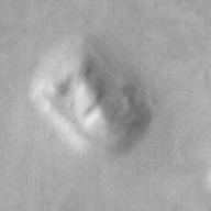 Cydonia Face