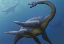 plesiosaurs