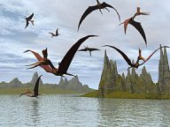 pteranodons