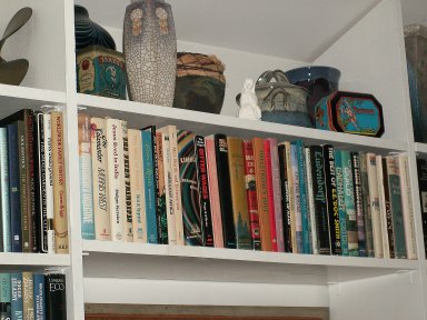 A close-up of ERB Memorabilia and miscellaneous books