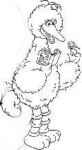 Big Bird