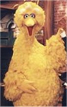 Big Bird