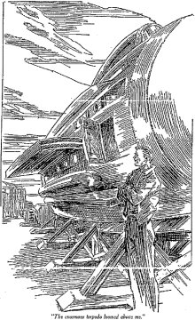 The enormous torpedo loomed above me.