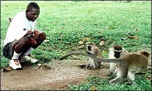 John, the Monkey Boy