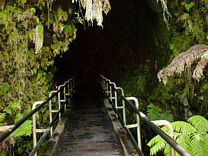 Entrance to Thurston Lava Tube