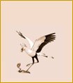 Secretary bird