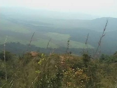 Hidden Gorilla Valley