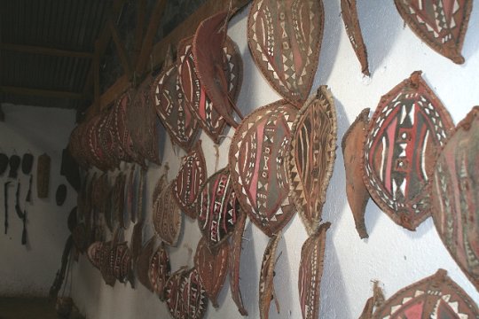 Shields