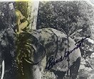 Bruce Bennet on Tantor