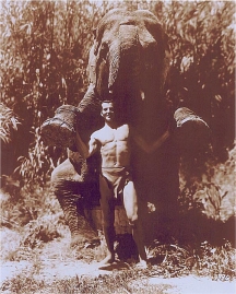 Herman Brix and Tantor