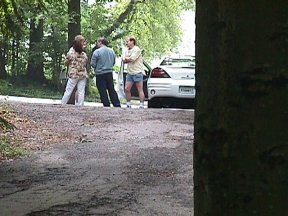 Man-attacking tree sneaking up on unsuspecting group