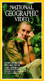 Jane Goodall: My Life With The Chimpanzees