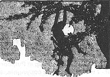 Fred W. Small art: Headpiece from the original appearance of Tarzan of the Apes in All-Story