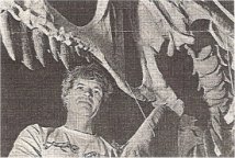 Professor Phil Currie