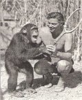 Cheetah and friend Johnny Weissmuller