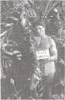 Xmas card from Frank Puncer