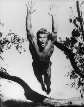 Denny Miller - Tarzan the Ape Man