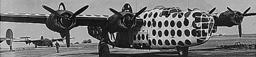 B24 Liberator: Time Traveller