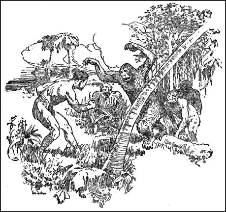 III. Beasts at Bay: Tarzan's fight with the bull ape