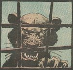 Joe Kubert