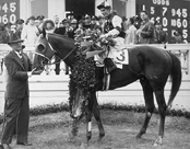 Winner of the 1946 Kentucky Derby: Assault