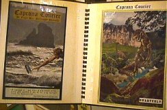 Caprona Courier material