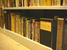 Rows of ERB style fiction