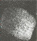 Right Thumb Print (ERB)