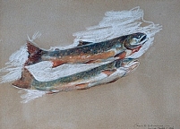 Two Trout - 1904 - Lac Brule, Canada