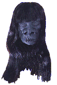 Shrunken Head