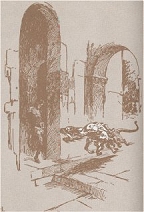 J. Allen St. John