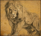 Lion by Rubens
