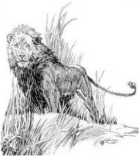 King of Beasts