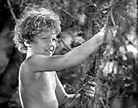 Boy learning the vines