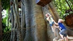 Two boys play and pull a rope at Tarzan's Treehouse