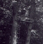 Young von Horst and brother in tree house