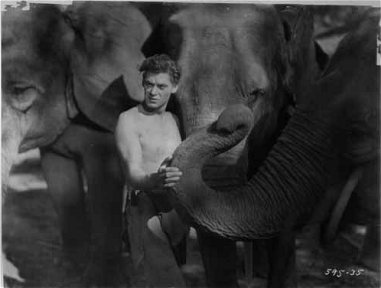Johnny Weissmuller and Tantor's Family