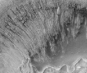 Martian gullies in Newton Crater.