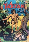 Tarzan Colouring Book
