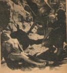 It Was the Great Ape!