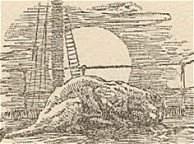 XVII. On the Deck of the Kincaid