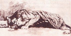 FROM THE DEN OF THE OLD TIGER
