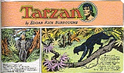 Hogarth Tarzan Sunday Page