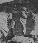 Shooting at Crocodiles