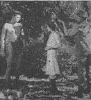 Tarzan Dropped from the Trees